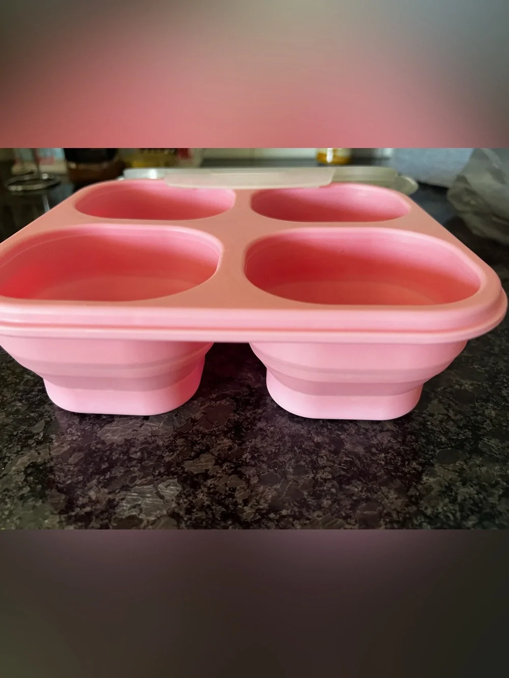 Pink Silicone 4-Compartment Snack Box